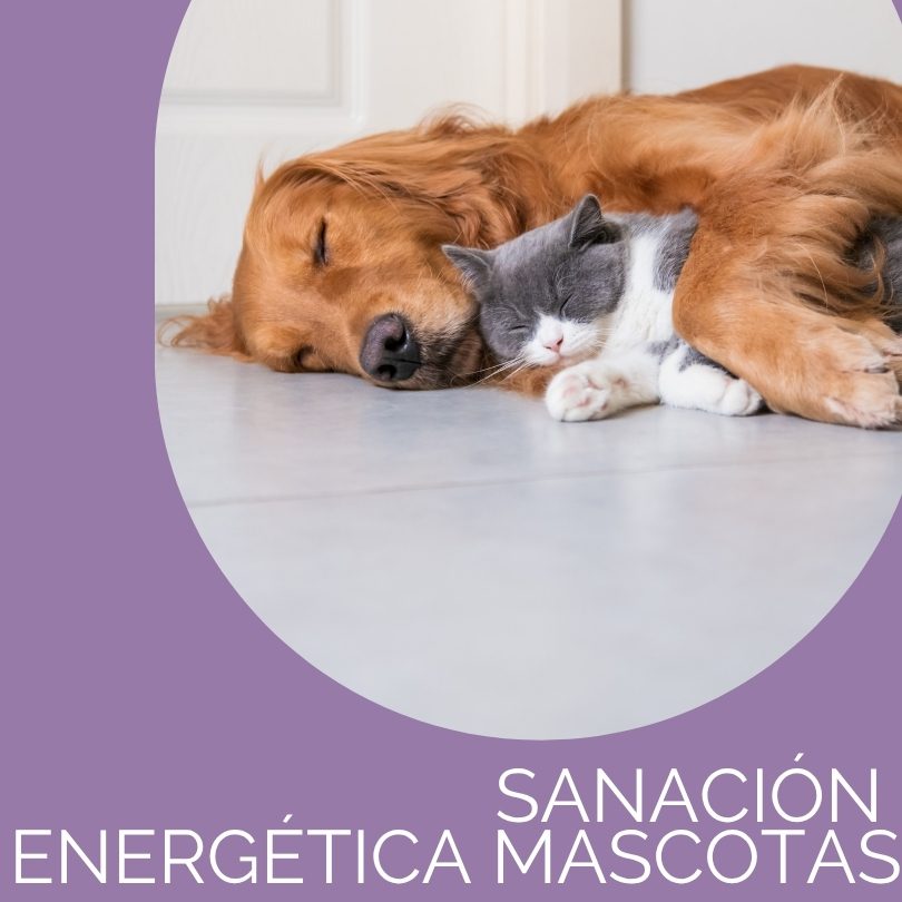 Sanación Energética Mascotas