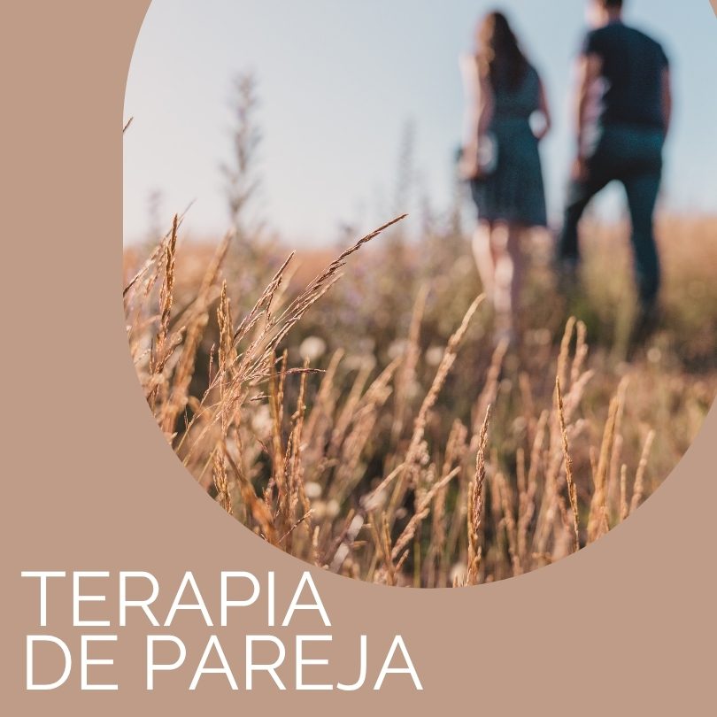 Terapia de Parejas